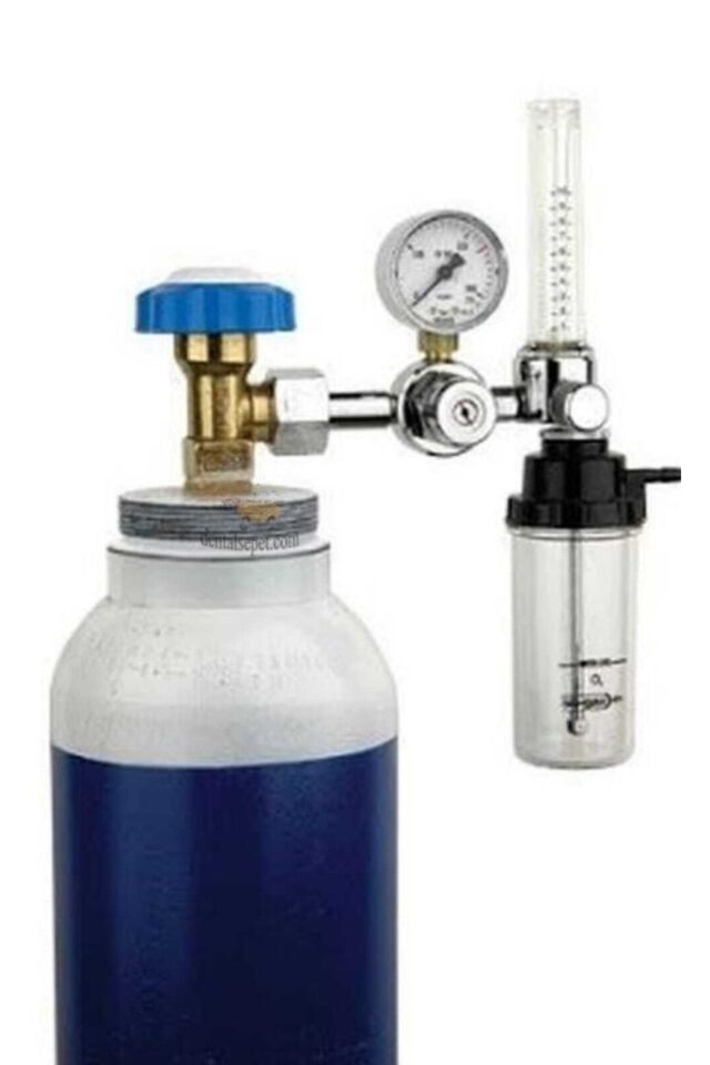OKSİJEN SET 10 LT(TERAPİ CİHAZI+ÇELİK TÜP)